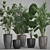 Exotic Plant Collection: Palms, Ficus & Licuala in Black Pots 3D model small image 1