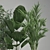 Exotic Plant Collection: Palms, Ficus & Licuala in Black Pots 3D model small image 4