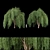 Premium Willow Tree Collection 3D model small image 1