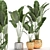 Exotic Plant Collection: Banana Palm, Ravenala & Strelitzia 3D model small image 1