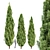 Mediterranean Cypress Trio 3D model small image 1