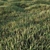 Lush Low Poly Grass Set 3D model small image 2