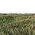 Lush Low Poly Grass Set 3D model small image 3