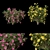  Vibrant Blooms Collection 3D model small image 1