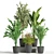 Green Oasis Indoor Plant Set 3D model small image 1