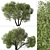 Arroyo Willow Set: 2 Salix lasiolepis Trees 3D model small image 3