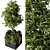Ultimate Outdoor Plant Set 3D model small image 3