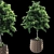 Lush Greens: Plants Set 2014 3D model small image 3