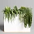 Indoor Plant Collection: 72 Pot Grass Fern Bush Palm Concrete Vase 3D model small image 2