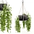  Rusty Concrete Pot Hanging Plants 3D model small image 5