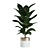 Green Oasis Indoor Plants Pack 3D model small image 7