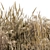 Natural Wild Grass Dried & Wheat 3D model small image 3