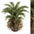 Tropical Tranquility: Palm Plant Set 3D model small image 1