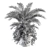 Tropical Tranquility: Palm Plant Set 3D model small image 3