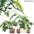 Philodendron Selloum Split: Exquisite Indoor Plant 3D model small image 1