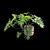 Philodendron Selloum Split: Exquisite Indoor Plant 3D model small image 5