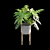 Philodendron Selloum Split: Exquisite Indoor Plant 3D model small image 7