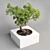 Concrete Bonsai Pot Vase 3D model small image 1