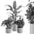 Refreshing Greenery: Indoor Plant Set 3D model small image 4