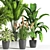 Indoor Oasis: 38 Unique Plant Set 3D model small image 2