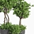 Evergreen Indoor Plant Set 41 3D model small image 4