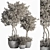 Evergreen Indoor Plant Set 41 3D model small image 6