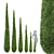 Italian Cypress: Tall, Stunning, Timeless 3D model small image 1