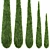 Italian Cypress: Tall, Stunning, Timeless 3D model small image 2