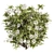 Pure Blooms: 30-Piece White Flower Bush 3D model small image 2