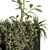 Nature's Oasis: Indoor Plant Set 3D model small image 3