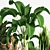 Indoor Set Plant 05 - Stylish Decor for Your Home! 3D model small image 4