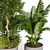 Diverse Outdoor & Indoor Plant Collection 3D model small image 2