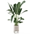 Greenery Galore: Ferm Living Bau Pot Large - Set 173 3D model small image 5