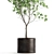 Exotic Tree Collection in Rusty Vase 3D model small image 5
