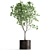 Exotic Tree Collection in Rusty Vase 3D model small image 6