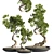 Indoor Bonsai Plant Set 3D model small image 1