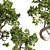 Indoor Bonsai Plant Set 3D model small image 4