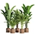 Indoor Oasis: 42-Piece Plant Set 3D model small image 7