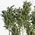 Olive Indoor Plant Set 3D model small image 4