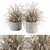 Exquisite Dried Plants Collection 3D model small image 1