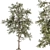 Title: Evergreen Bliss - Complete Pine Set 3D model small image 2