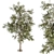 Title: Evergreen Bliss - Complete Pine Set 3D model small image 4