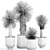 Exotic Metal Plant Collection: Yucca Rostrata, Reclaimed Artizan Iron Coppa Pot 3D model small image 7