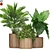 Exquisite Plants Set #549 3D model small image 1