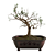 Bonsai Tree Design with Pot 3D model small image 5