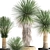 Tropical Plant Collection: Exotic Yucca in Vig Planter 3D model small image 3