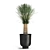 Tropical Plant Collection: Exotic Yucca in Vig Planter 3D model small image 4