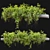 Cascade Greenery: Hanging Plant 21 3D model small image 7