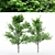 Dual Tree Maple Heights: 10m & 10.7m 3D model small image 1