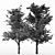 Dual Tree Maple Heights: 10m & 10.7m 3D model small image 3